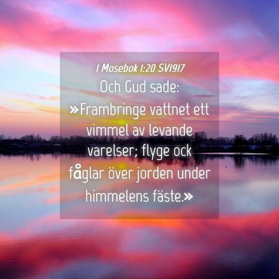 Picture 04 - 1 Mosebok 1:20 SV1917 - Och Gud sade: »Frambringe vattnet ett vimmel av - Bible Verse Picture