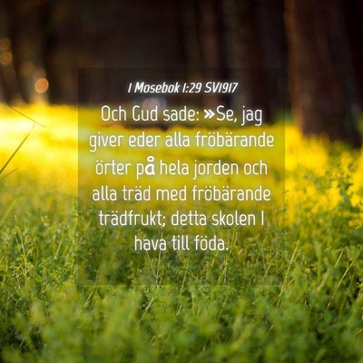 Picture 04 - 1 Mosebok 1:29 SV1917 - Och Gud sade: »Se, jag giver eder alla - Bible Verse Picture