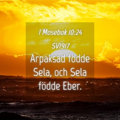 Picture 04 - 1 Mosebok 10:24 SV1917 - Arpaksad födde Sela, och Sela födde - Bible Verse Picture