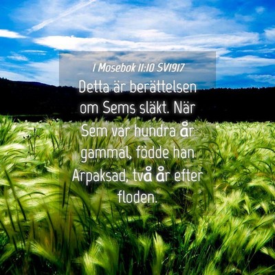 Picture 04 - 1 Mosebok 11:10 SV1917 - Detta är berättelsen om Sems släkt. När Sem - Bible Verse Picture