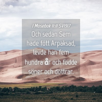 Picture 04 - 1 Mosebok 11:11 SV1917 - Och sedan Sem hade fött Arpaksad, levde han fem - Bible Verse Picture