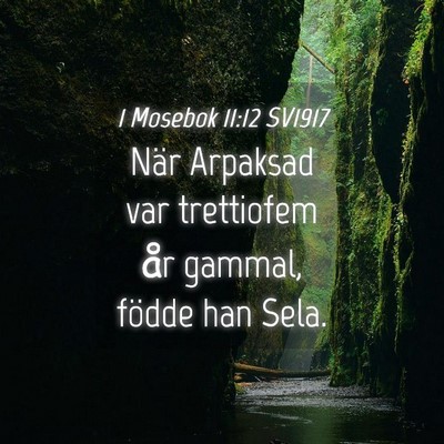 Picture 04 - 1 Mosebok 11:12 SV1917 - När Arpaksad var trettiofem år gammal, födde - Bible Verse Picture