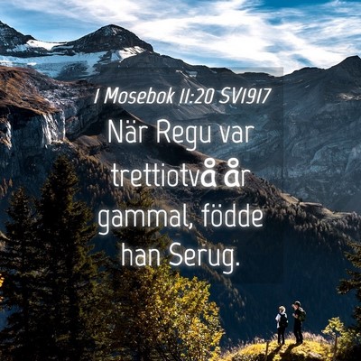 Picture 04 - 1 Mosebok 11:20 SV1917 - När Regu var trettiotvå år gammal, födde han - Bible Verse Picture