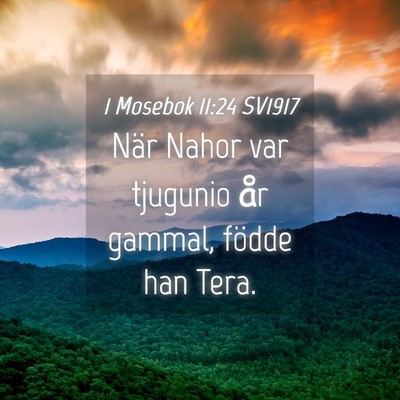 Picture 04 - 1 Mosebok 11:24 SV1917 - När Nahor var tjugunio år gammal, födde han - Bible Verse Picture