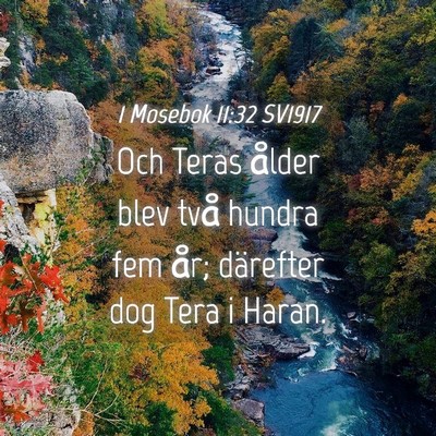 Picture 04 - 1 Mosebok 11:32 SV1917 - Och Teras ålder blev två hundra fem år; - Bible Verse Picture