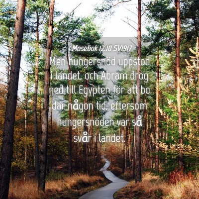 Picture 04 - 1 Mosebok 12:10 SV1917 - Men hungersnöd uppstod i landet, och Abram drog - Bible Verse Picture