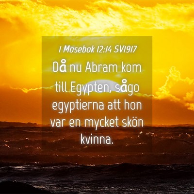 Picture 04 - 1 Mosebok 12:14 SV1917 - Då nu Abram kom till Egypten, sågo egyptierna - Bible Verse Picture