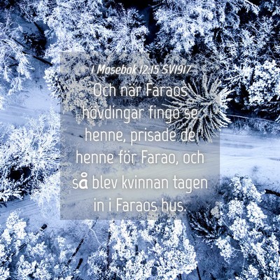 Picture 04 - 1 Mosebok 12:15 SV1917 - Och när Faraos hövdingar fingo se henne, - Bible Verse Picture