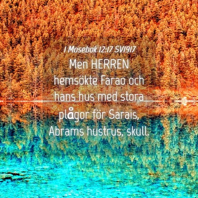 Picture 04 - 1 Mosebok 12:17 SV1917 - Men HERREN hemsökte Farao och hans hus med stora - Bible Verse Picture
