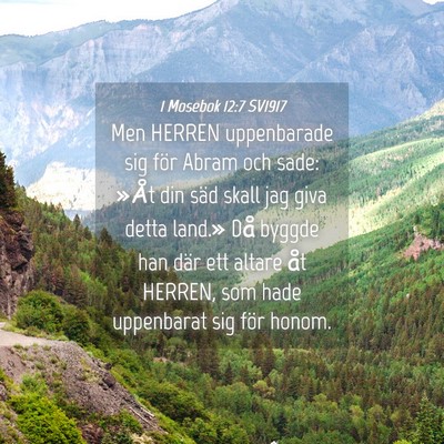 Picture 04 - 1 Mosebok 12:7 SV1917 - Men HERREN uppenbarade sig för Abram och sade: - Bible Verse Picture