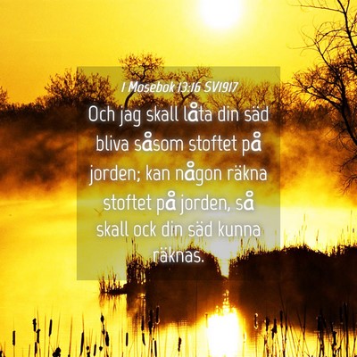 Picture 04 - 1 Mosebok 13:16 SV1917 - Och jag skall låta din säd bliva såsom stoftet - Bible Verse Picture