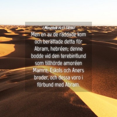 Picture 04 - 1 Mosebok 14:13 SV1917 - Men en av de räddade kom och berättade detta - Bible Verse Picture