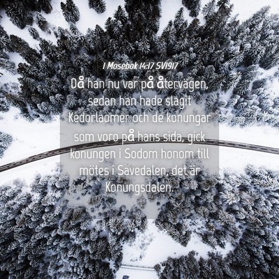 Picture 04 - 1 Mosebok 14:17 SV1917 - Då han nu var på återvägen, sedan han hade - Bible Verse Picture