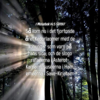 Picture 04 - 1 Mosebok 14:5 SV1917 - Så kom nu i det fjortonde året Kedorlaomer med - Bible Verse Picture