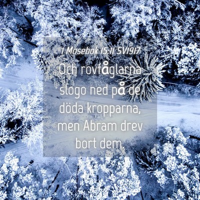 Picture 04 - 1 Mosebok 15:11 SV1917 - Och rovfåglarna slogo ned på de döda - Bible Verse Picture