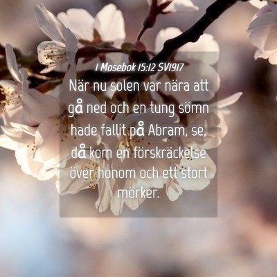 Picture 04 - 1 Mosebok 15:12 SV1917 - När nu solen var nära att gå ned och en tung - Bible Verse Picture