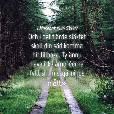 Picture 04 - 1 Mosebok 15:16 SV1917 - Och i det fjärde släktet skall din säd komma - Bible Verse Picture