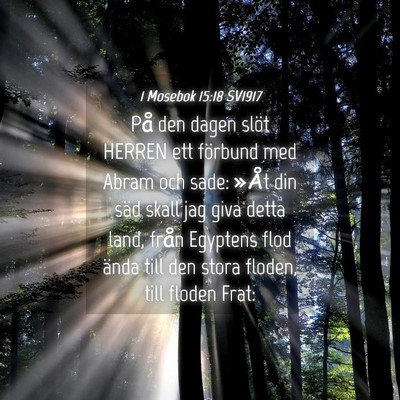 Picture 04 - 1 Mosebok 15:18 SV1917 - På den dagen slöt HERREN ett förbund med Abram - Bible Verse Picture