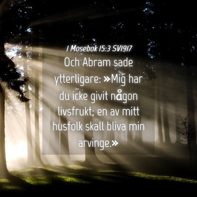 Picture 04 - 1 Mosebok 15:3 SV1917 - Och Abram sade ytterligare: »Mig har du icke - Bible Verse Picture