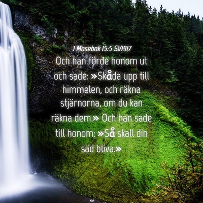 Picture 04 - 1 Mosebok 15:5 SV1917 - Och han förde honom ut och sade: »Skåda upp - Bible Verse Picture