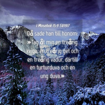 Picture 04 - 1 Mosebok 15:9 SV1917 - Då sade han till honom: »Tag åt mig en - Bible Verse Picture
