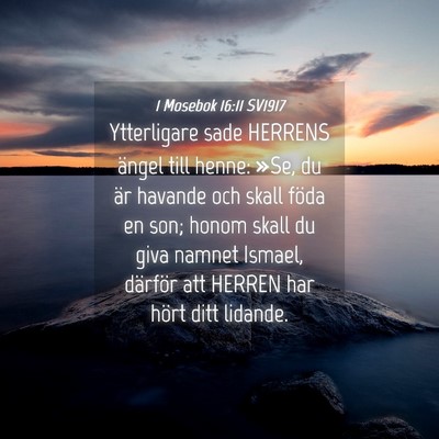 Picture 04 - 1 Mosebok 16:11 SV1917 - Ytterligare sade HERRENS ängel till henne: »Se, - Bible Verse Picture