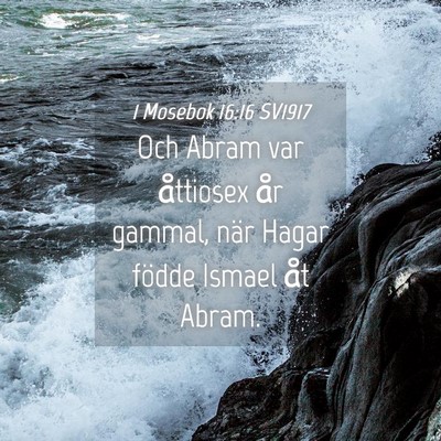 Picture 04 - 1 Mosebok 16:16 SV1917 - Och Abram var åttiosex år gammal, när Hagar - Bible Verse Picture
