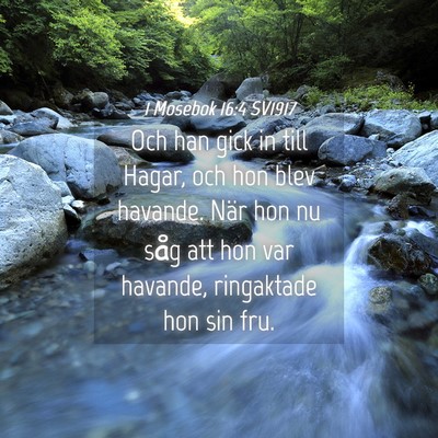 Picture 04 - 1 Mosebok 16:4 SV1917 - Och han gick in till Hagar, och hon blev havande. - Bible Verse Picture