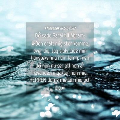 Picture 04 - 1 Mosebok 16:5 SV1917 - Då sade Sarai till Abram: »Den orätt mig sker - Bible Verse Picture