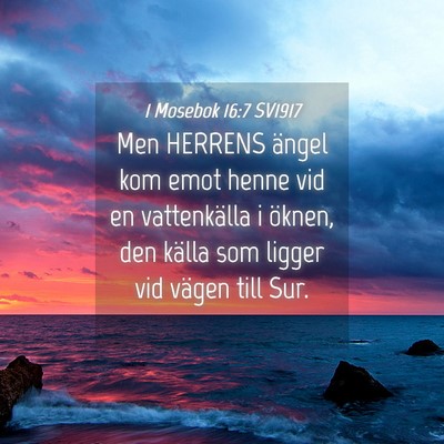 Picture 04 - 1 Mosebok 16:7 SV1917 - Men HERRENS ängel kom emot henne vid en - Bible Verse Picture