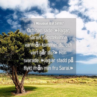 Picture 04 - 1 Mosebok 16:8 SV1917 - Och han sade: »Hagar, Sarais tjänstekvinna, - Bible Verse Picture