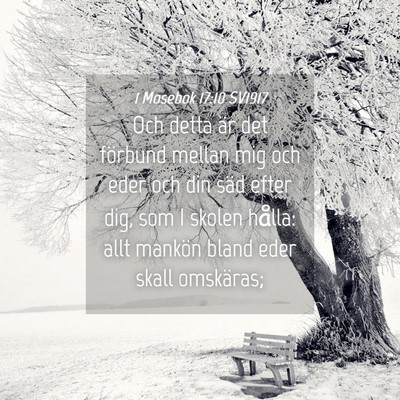 Picture 04 - 1 Mosebok 17:10 SV1917 - Och detta är det förbund mellan mig och eder - Bible Verse Picture