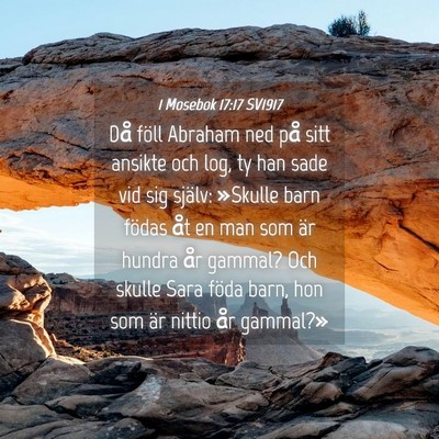 Picture 04 - 1 Mosebok 17:17 SV1917 - Då föll Abraham ned på sitt ansikte och log, - Bible Verse Picture