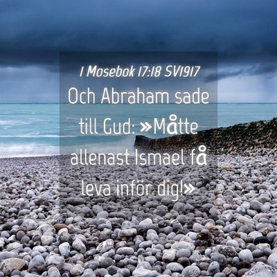 Picture 04 - 1 Mosebok 17:18 SV1917 - Och Abraham sade till Gud: »Måtte allenast - Bible Verse Picture
