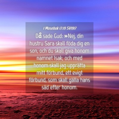 Picture 04 - 1 Mosebok 17:19 SV1917 - Då sade Gud: »Nej, din hustru Sara skall föda - Bible Verse Picture