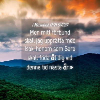Picture 04 - 1 Mosebok 17:21 SV1917 - Men mitt förbund skall jag upprätta med Isak, - Bible Verse Picture