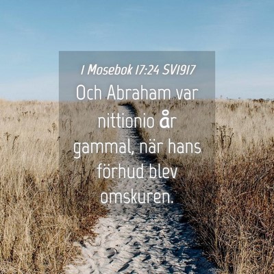 Picture 04 - 1 Mosebok 17:24 SV1917 - Och Abraham var nittionio år gammal, när hans - Bible Verse Picture