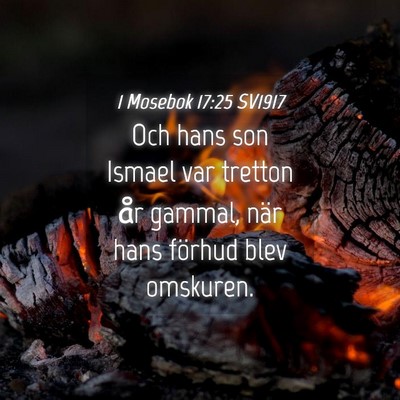 Picture 04 - 1 Mosebok 17:25 SV1917 - Och hans son Ismael var tretton år gammal, när - Bible Verse Picture