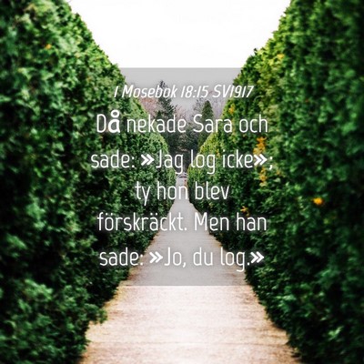 Picture 04 - 1 Mosebok 18:15 SV1917 - Då nekade Sara och sade: »Jag log icke»; ty - Bible Verse Picture