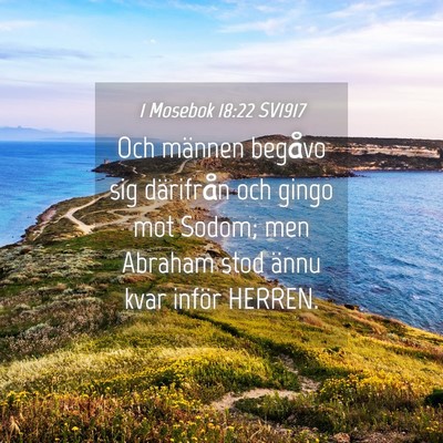 Picture 04 - 1 Mosebok 18:22 SV1917 - Och männen begåvo sig därifrån och gingo mot - Bible Verse Picture