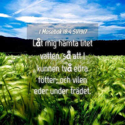 Picture 04 - 1 Mosebok 18:4 SV1917 - Låt mig hämta litet vatten, så att I kunnen - Bible Verse Picture