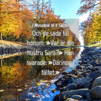 Picture 04 - 1 Mosebok 18:9 SV1917 - Och de sade till honom: »Var är din hustru - Bible Verse Picture