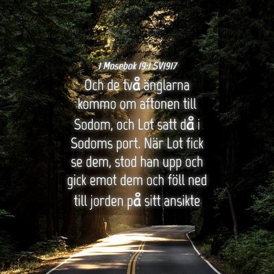 Picture 04 - 1 Mosebok 19:1 SV1917 - Och de två änglarna kommo om aftonen till - Bible Verse Picture