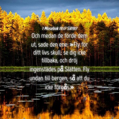Picture 04 - 1 Mosebok 19:17 SV1917 - Och medan de förde dem ut, sade den ene: »Fly - Bible Verse Picture
