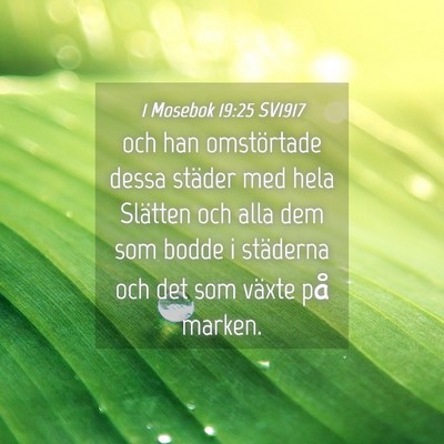 Picture 04 - 1 Mosebok 19:25 SV1917 - och han omstörtade dessa städer med hela - Bible Verse Picture