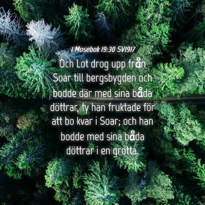 Picture 04 - 1 Mosebok 19:30 SV1917 - Och Lot drog upp från Soar till bergsbygden och - Bible Verse Picture