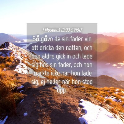 Picture 04 - 1 Mosebok 19:33 SV1917 - Så gåvo de sin fader vin att dricka den natten, - Bible Verse Picture