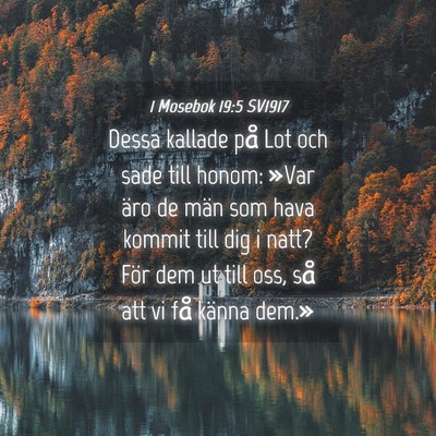 Picture 04 - 1 Mosebok 19:5 SV1917 - Dessa kallade på Lot och sade till honom: »Var - Bible Verse Picture