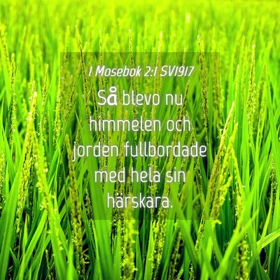 Picture 04 - 1 Mosebok 2:1 SV1917 - Så blevo nu himmelen och jorden fullbordade med - Bible Verse Picture