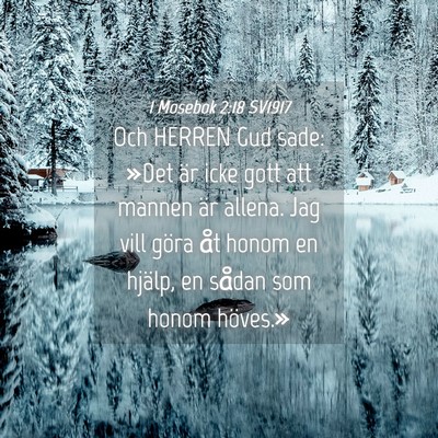Picture 04 - 1 Mosebok 2:18 SV1917 - Och HERREN Gud sade: »Det är icke gott att - Bible Verse Picture